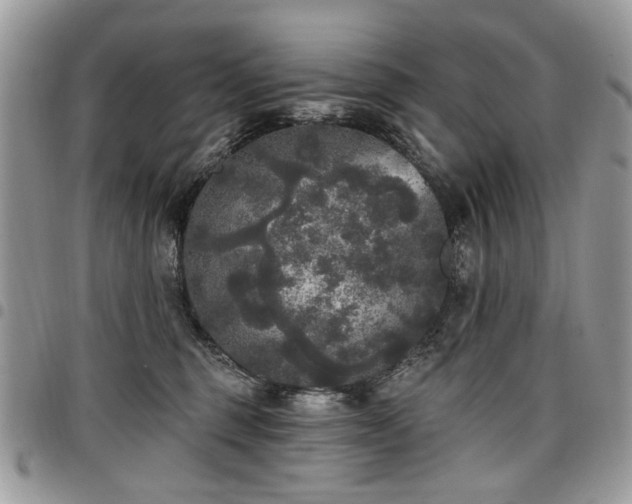 X0000098010375200803281317