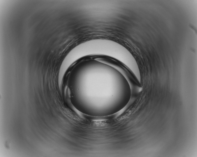 X0000098010376200803281317