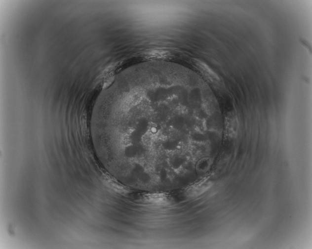 X0000098010377200803281317