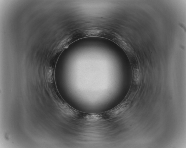 X0000098010378200803281317