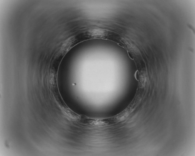 X0000098010379200803281317
