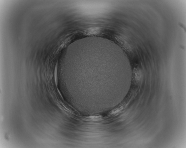 X0000098010380200803281317