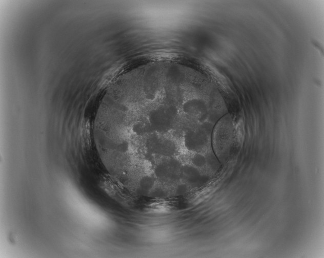 X0000098010381200803281317