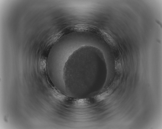 X0000098010382200803281317