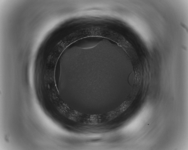 X0000098010383200803281317