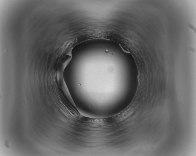 X0000098010384200803281317