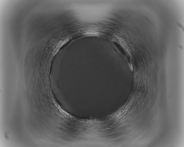 X0000098010385200803281317