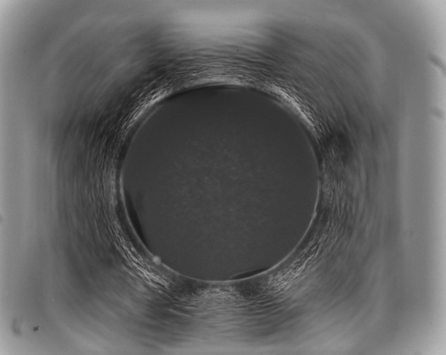 X0000098010386200803281317