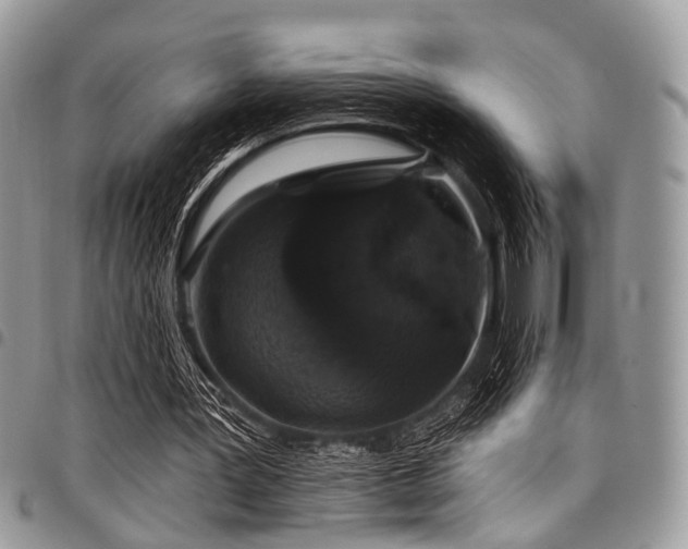 X0000098010387200803281317
