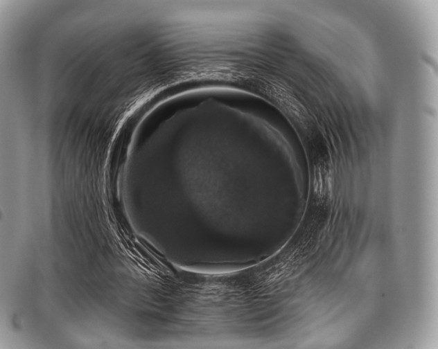 X0000098010388200803281317