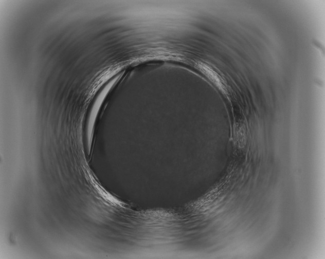 X0000098010389200803281317