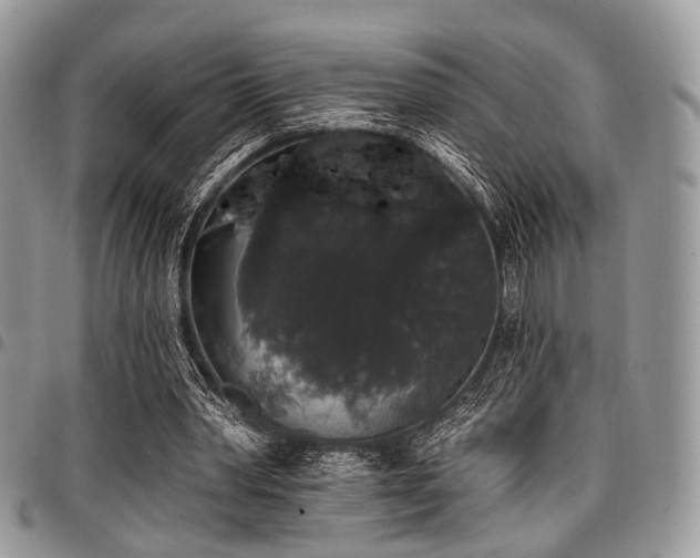 X0000098010390200803281317