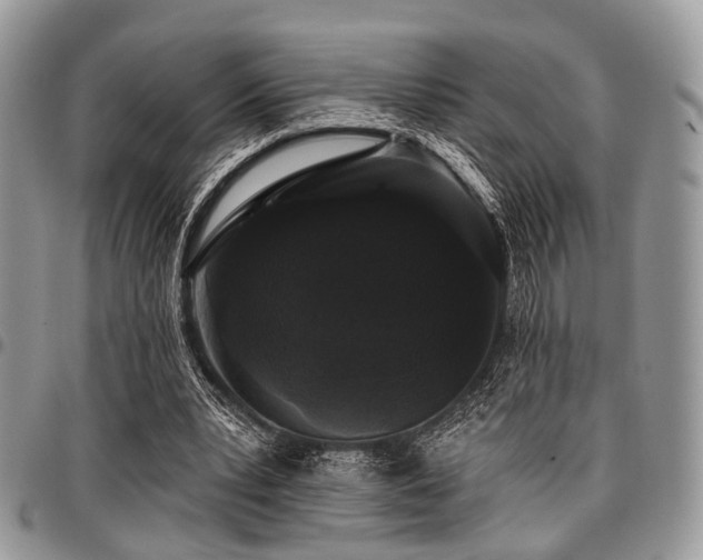 X0000098010391200803281317
