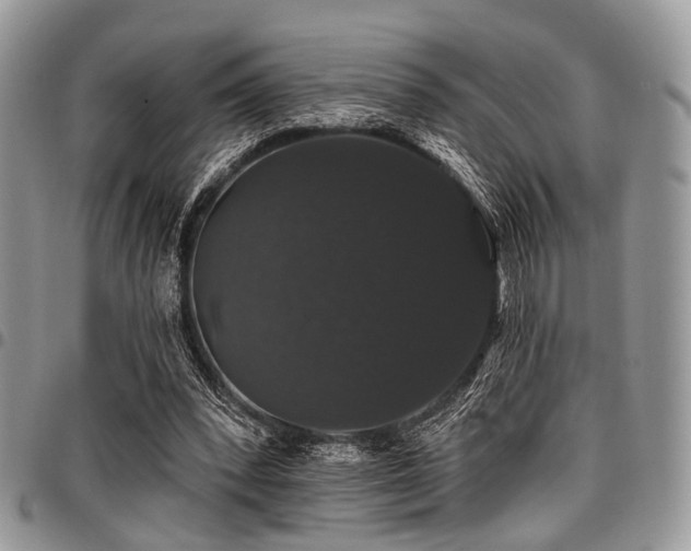 X0000098010392200803281317