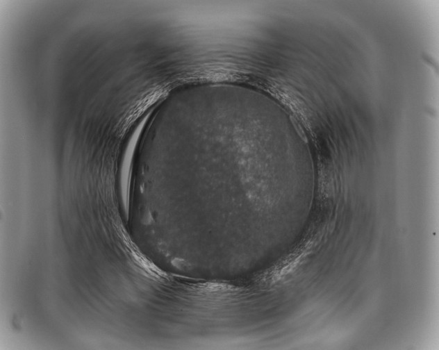 X0000098010393200803281317