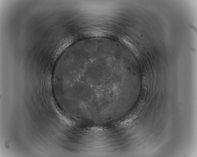X0000098010394200803281317