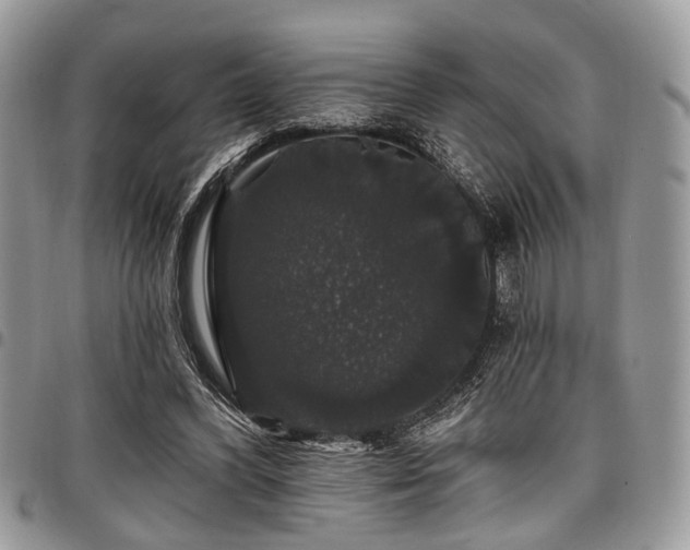X0000098010396200803281317