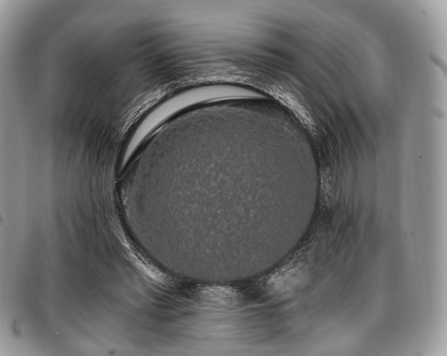 X0000098010397200803281317