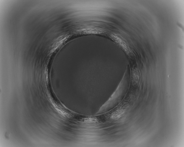 X0000098010398200803281317