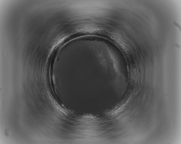 X0000098010399200803281317