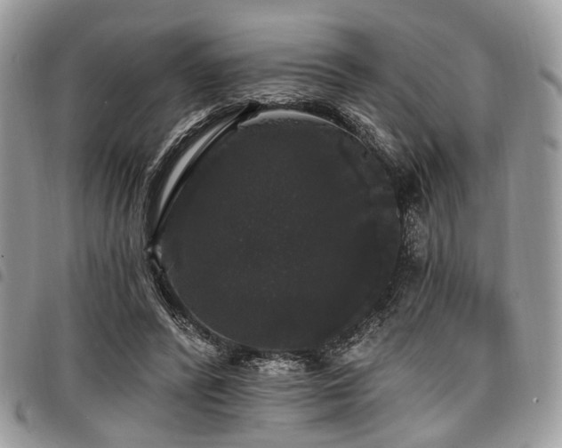 X0000098010400200803281317