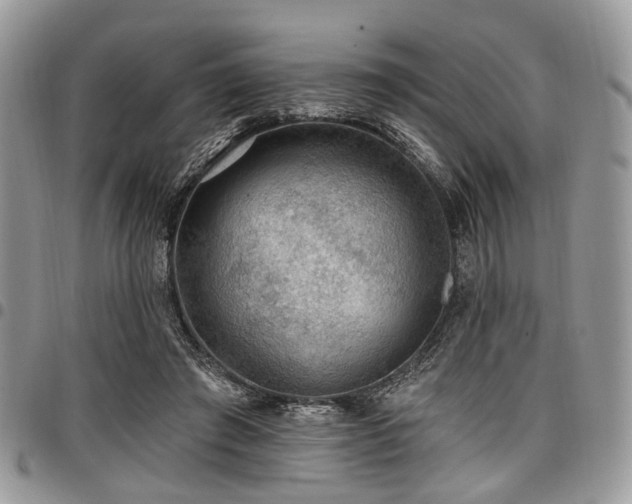 X0000098010401200803281317