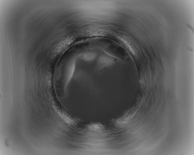 X0000098010402200803281317
