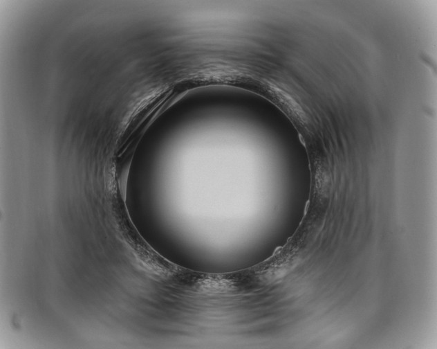 X0000098010403200803281317