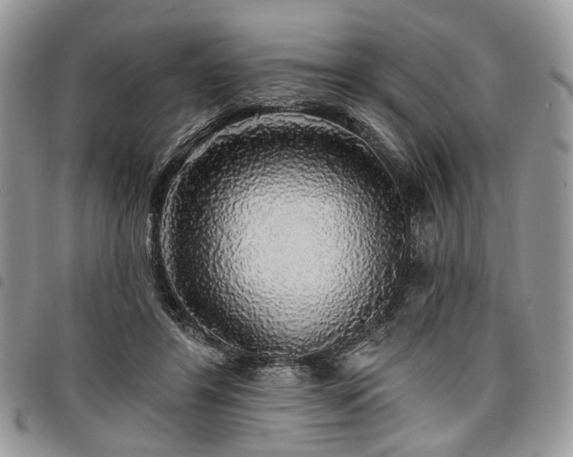 X0000098010404200803281317