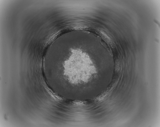 X0000098010405200803281317