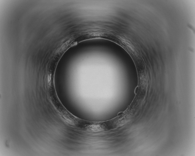 X0000098010406200803281317
