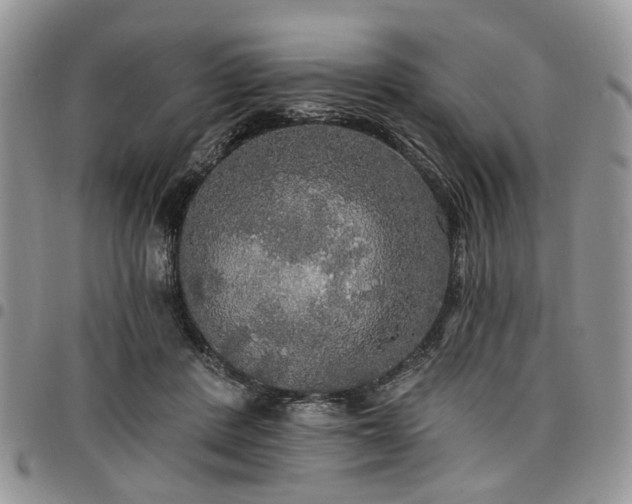 X0000098010408200803281316