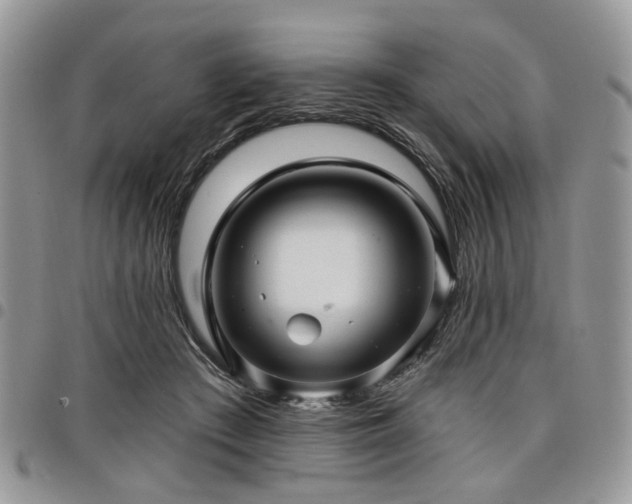 X0000098010409200803281316