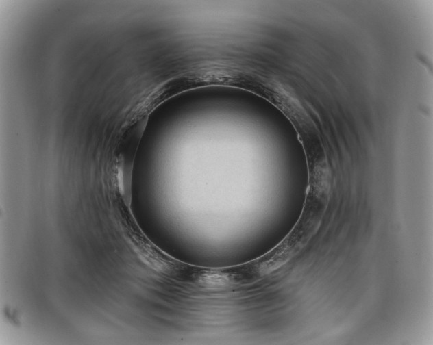 X0000098010413200803281316