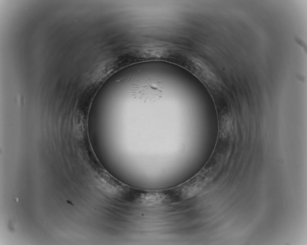 X0000098010414200803281316