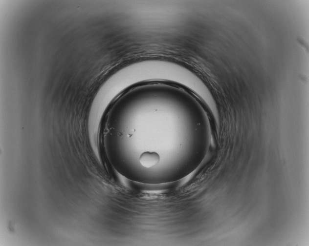 X0000098010415200803281316