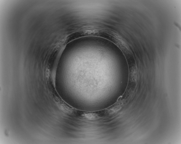 X0000098010417200803281316