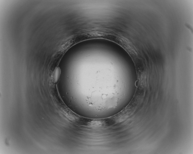 X0000098010418200803281316