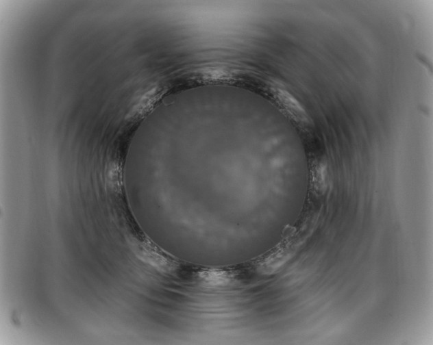 X0000098010419200803281316