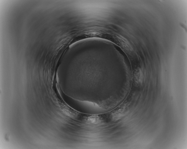 X0000098010420200803281316