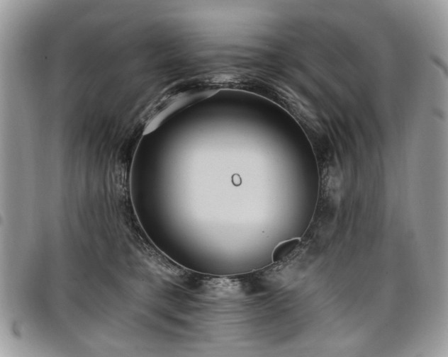 X0000098010421200803281316