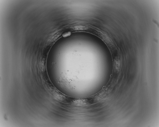 X0000098010422200803281316