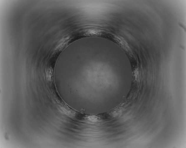 X0000098010423200803281316