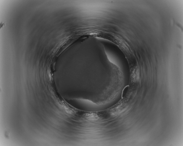 X0000098010424200803281316