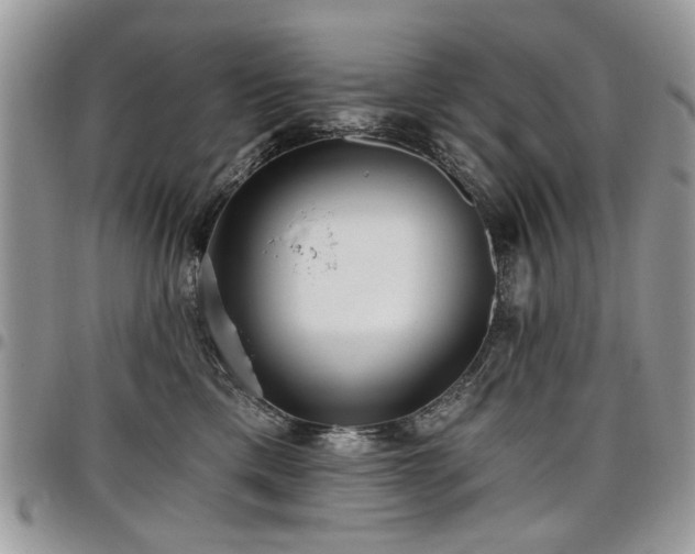 X0000098010425200803281316