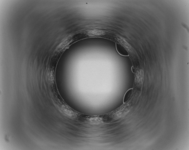 X0000098010426200803281316