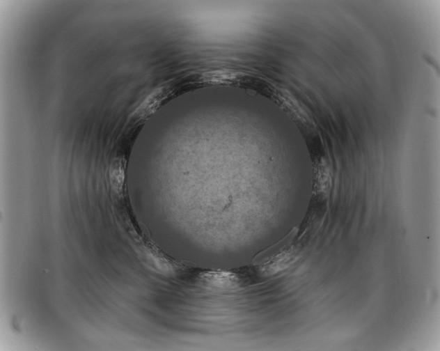 X0000098010427200803281316