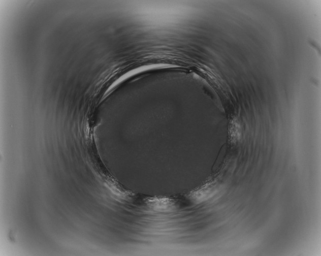X0000098010428200803281316