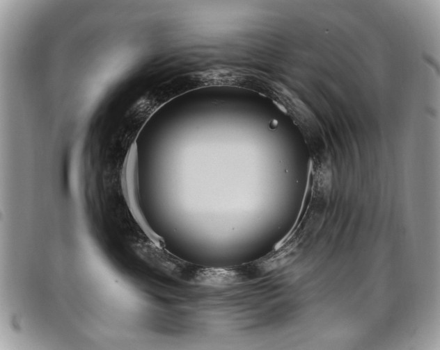 X0000098010429200803281316