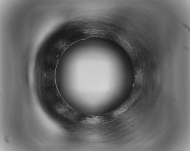 X0000098010430200803281316